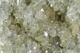 Plate Of Gemmy, Chisel Tipped Barite Crystals - Mexico #84427-2